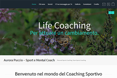 Aurora Coaching